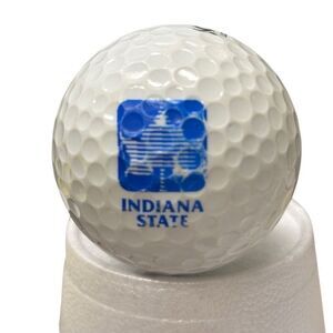 Indiana State Noodle Long & Soft Golf Ball